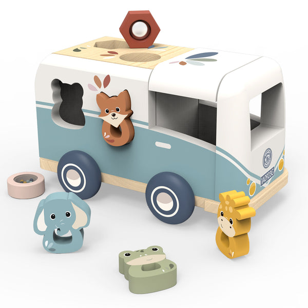 VAN SHAPE SORTER